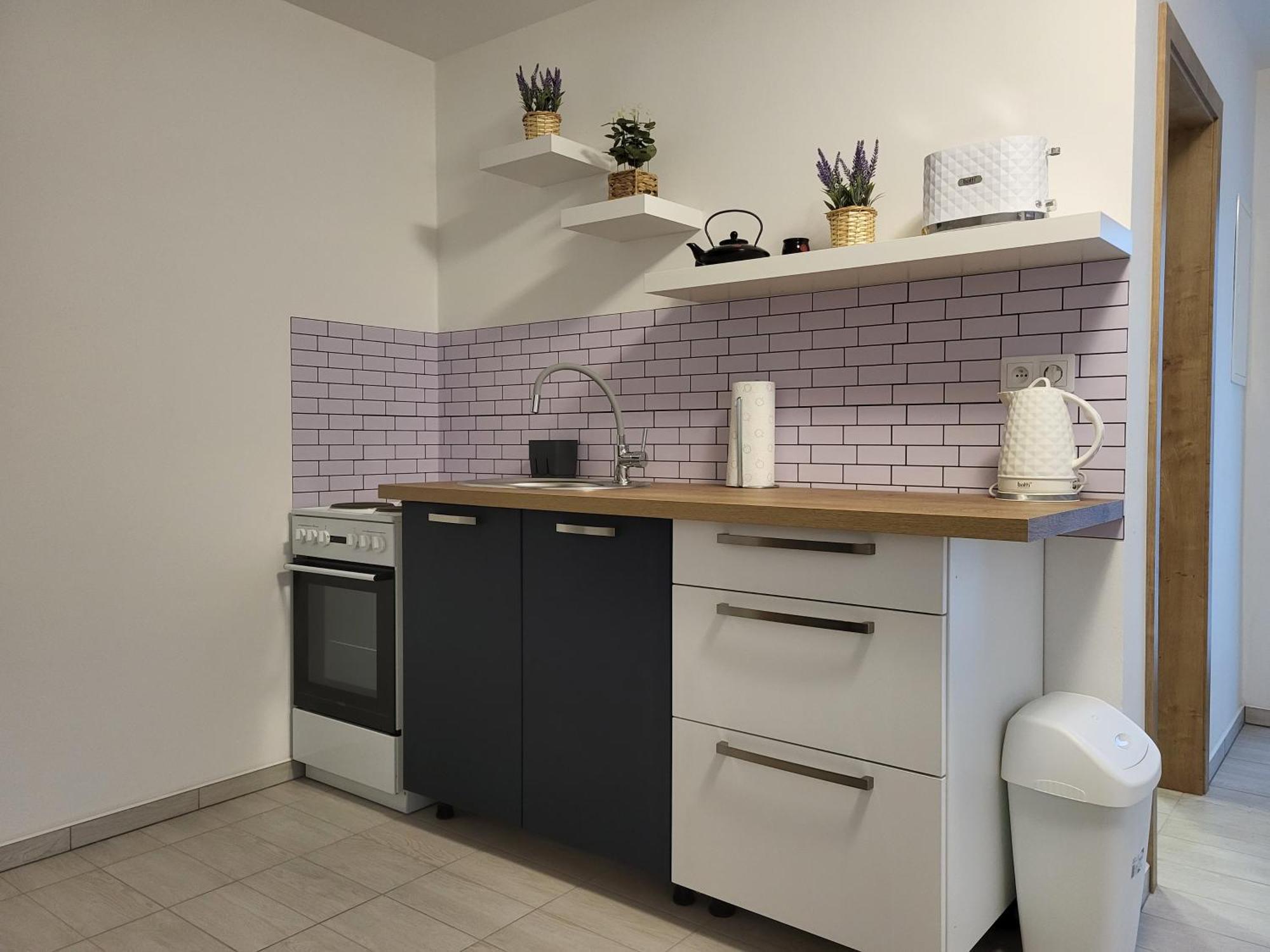 Apartman Na Karlicku Karlov  ภายนอก รูปภาพ