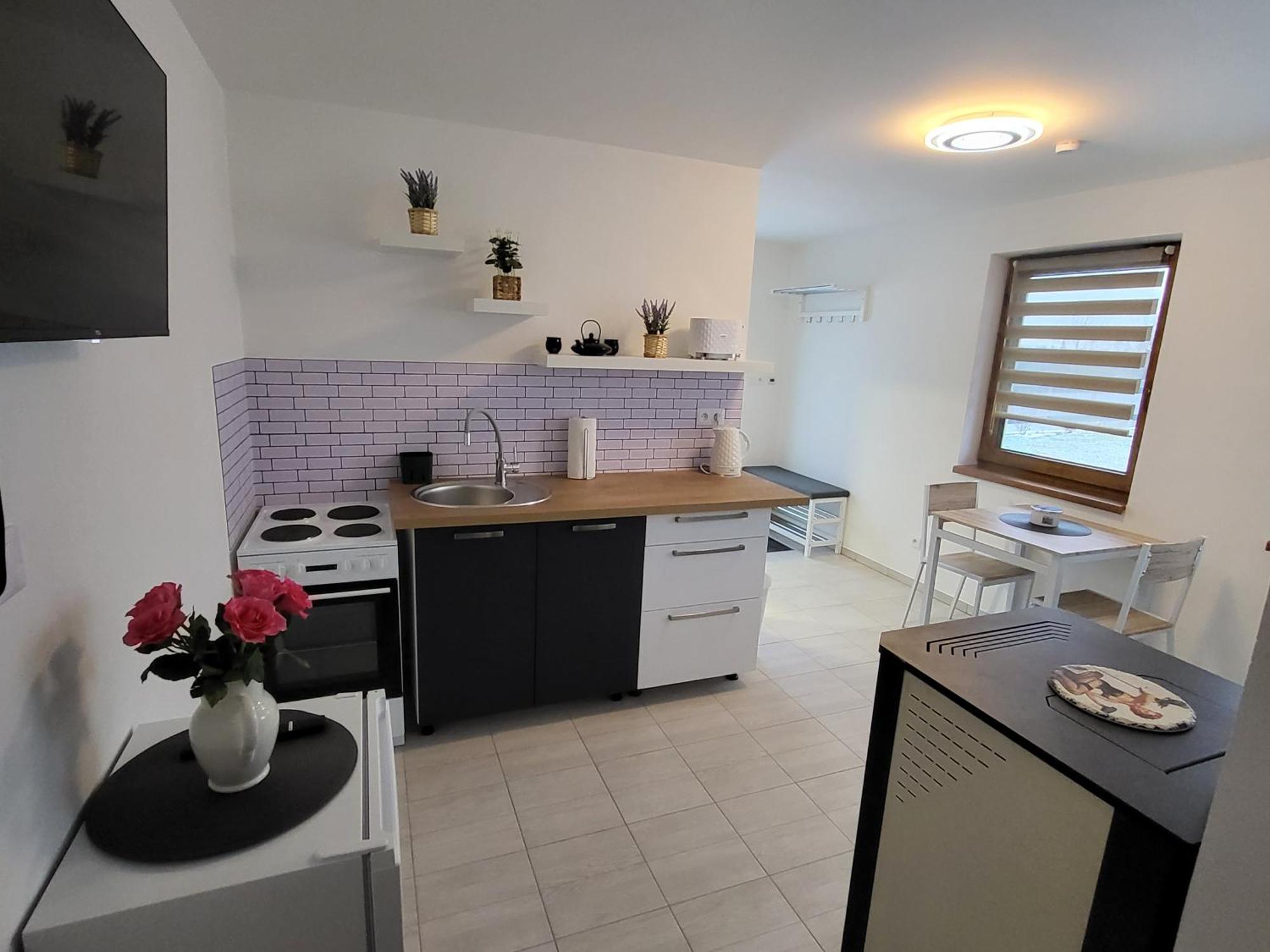 Apartman Na Karlicku Karlov  ภายนอก รูปภาพ